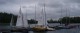 Thumbs/tn_P1010147.jpg